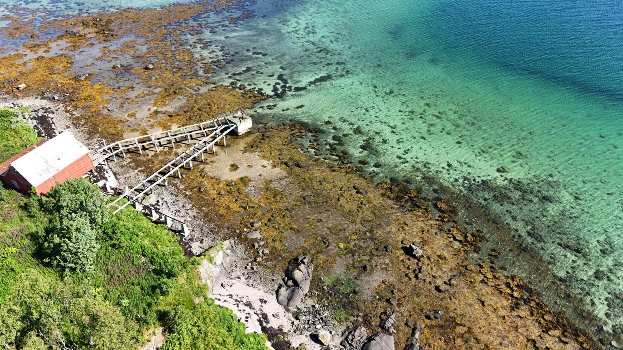 Risoyhamn Kafe Otel Dış mekan fotoğraf