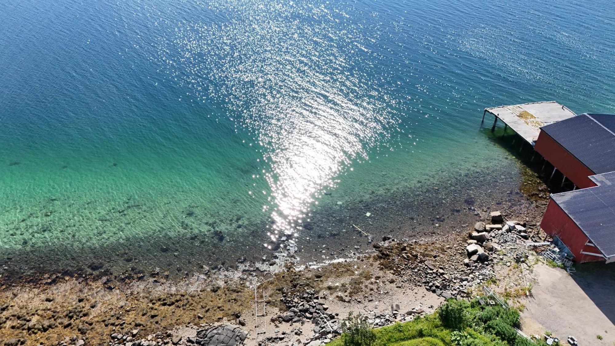 Risoyhamn Kafe Otel Dış mekan fotoğraf